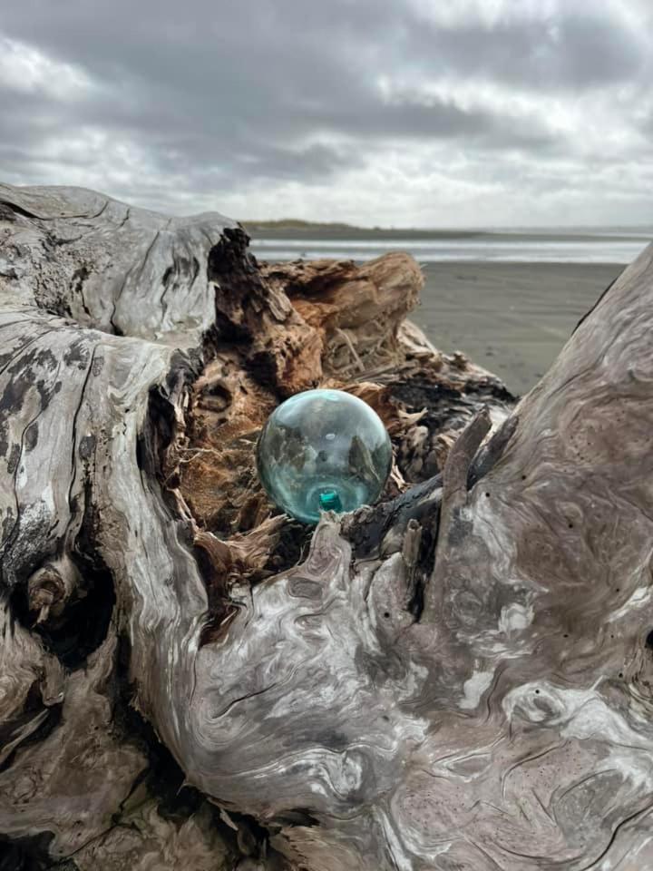 Canterbury Inn Ocean Shores Bagian luar foto